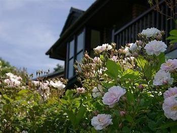 Barclay House Cottages Looe Exteriér fotografie